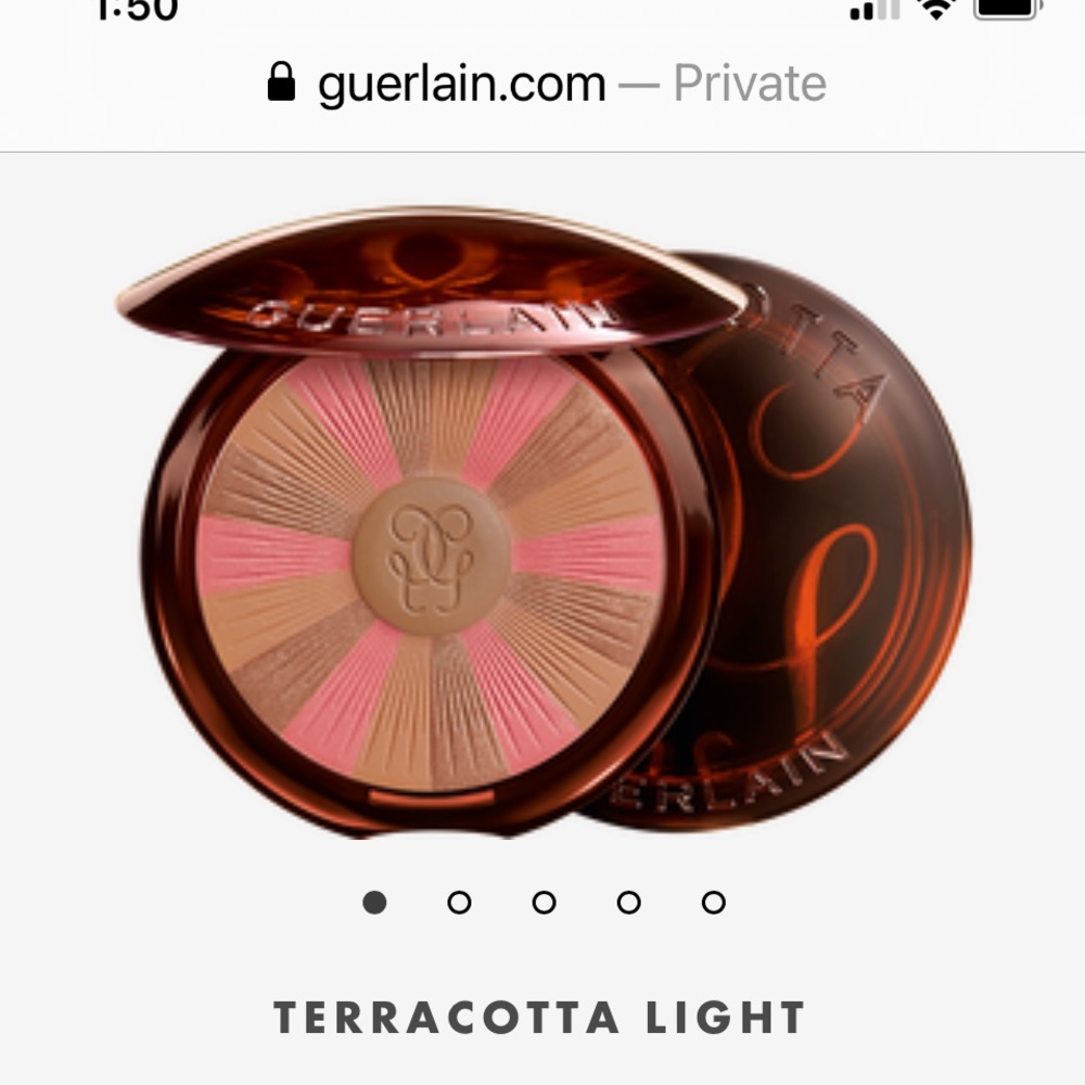 Guerlain terracotta Bronzer #5